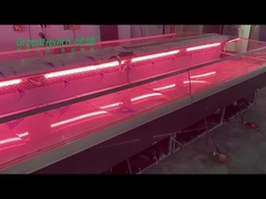 یخچال و فریزر گوشت ماهی تازه استیل برای قصابی