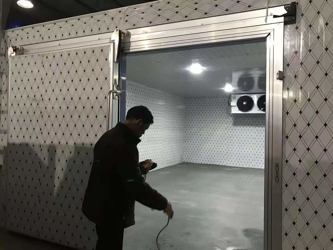 کنترل دمای دیجیتال الکترونیک اتاق سرد برای سبزیجات میوه ها گوشت و ماهی قابل تنظیم