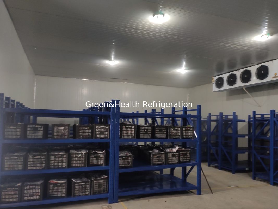 Different Temperature Customized Cold Storage Room Advanced Walk-In Freezer for Commercial Use
