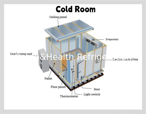 پنل PU غذا اتاق ذخیره سازی سرد رستوران آشپزخانه تجاری راه رفتن در فریزر